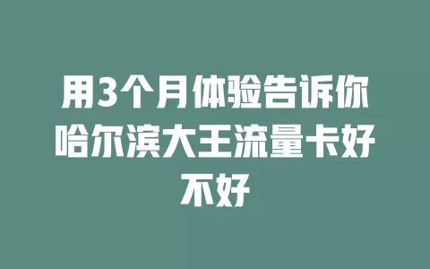 用3个月体验告诉你哈尔滨大王流量卡好不好
