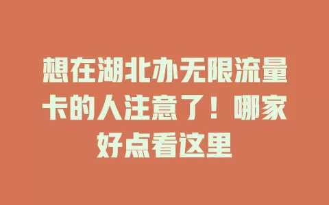 想在湖北办无限流量卡的人注意了！哪家好点看这里