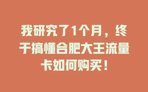 我研究了1个月，终于搞懂合肥大王流量卡如何购买！
