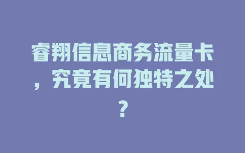 睿翔信息商务流量卡，究竟有何独特之处？