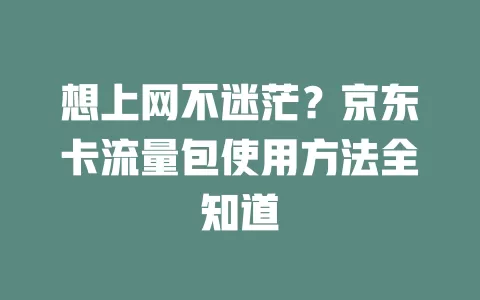 想上网不迷茫？京东卡流量包使用方法全知道
