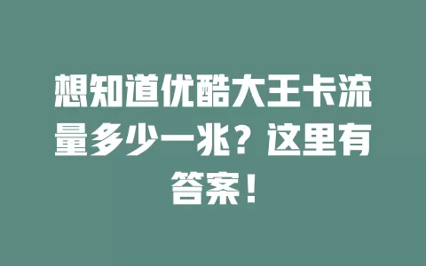 想知道优酷大王卡流量多少一兆？这里有答案！