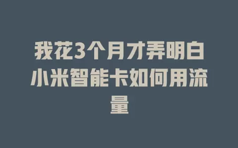 我花3个月才弄明白小米智能卡如何用流量