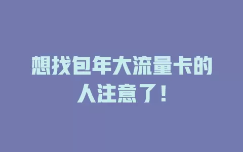 想找包年大流量卡的人注意了！
