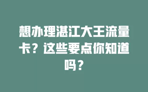 想办理湛江大王流量卡？这些要点你知道吗？
