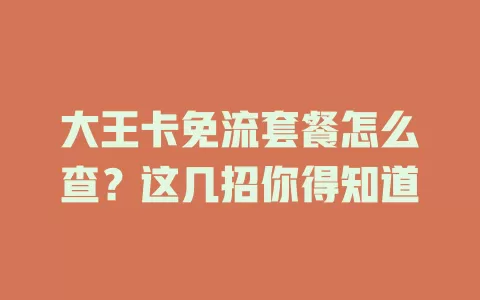 大王卡免流套餐怎么查？这几招你得知道