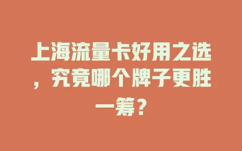 上海流量卡好用之选，究竟哪个牌子更胜一筹？