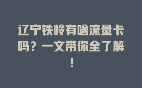 辽宁铁岭有啥流量卡吗？一文带你全了解！