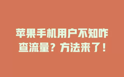 苹果手机用户不知咋查流量？方法来了！