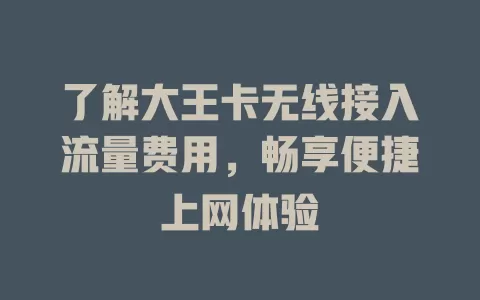 了解大王卡无线接入流量费用，畅享便捷上网体验