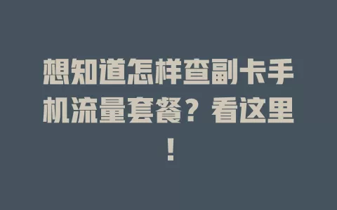 想知道怎样查副卡手机流量套餐？看这里！