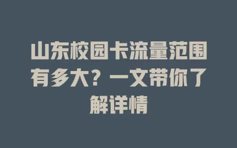 山东校园卡流量范围有多大？一文带你了解详情