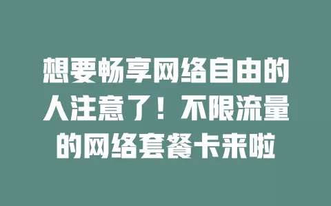 想要畅享网络自由的人注意了！不限流量的网络套餐卡来啦