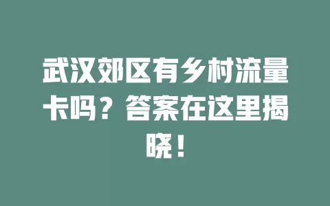 武汉郊区有乡村流量卡吗？答案在这里揭晓！