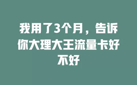 我用了3个月，告诉你大理大王流量卡好不好