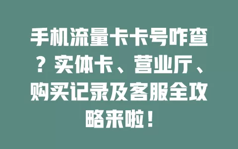 手机流量卡卡号咋查？实体卡、营业厅、购买记录及客服全攻略来啦！
