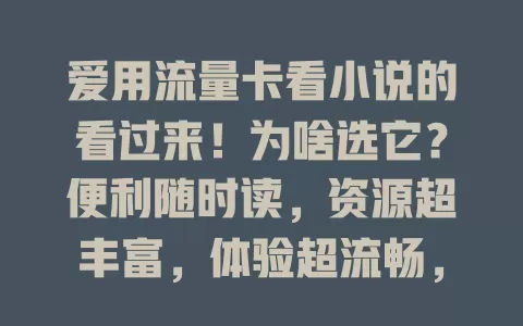 爱用流量卡看小说的看过来！为啥选它？便利随时读，资源超丰富，体验超流畅，费用还省 30%，你也快来用它开启畅快阅读之旅