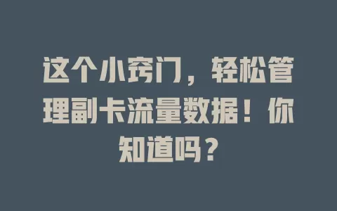 这个小窍门，轻松管理副卡流量数据！你知道吗？