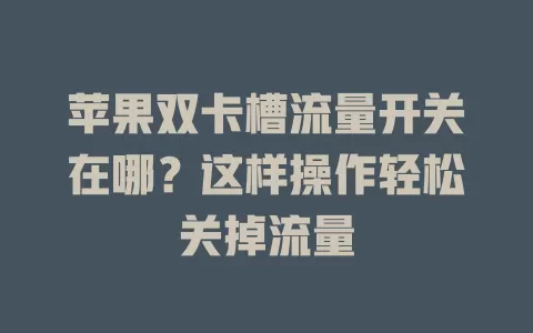 苹果双卡槽流量开关在哪？这样操作轻松关掉流量