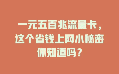 一元五百兆流量卡，这个省钱上网小秘密你知道吗？