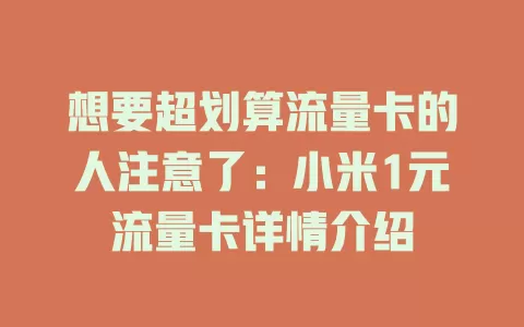 想要超划算流量卡的人注意了：小米1元流量卡详情介绍