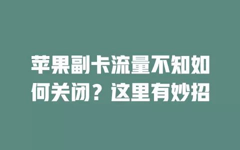 苹果副卡流量不知如何关闭？这里有妙招
