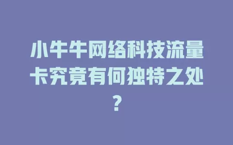 小牛牛网络科技流量卡究竟有何独特之处？