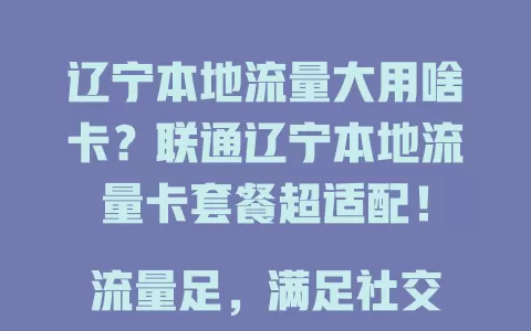 辽宁本地流量大用啥卡？联通辽宁本地流量卡套餐超适配！

流量足，满足社交、游戏等多样需求，畅玩无忧。还有本地优惠，性价比超高，长期在辽宁本地生活工作的用户选它超划算！