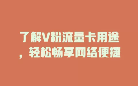 了解V粉流量卡用途，轻松畅享网络便捷