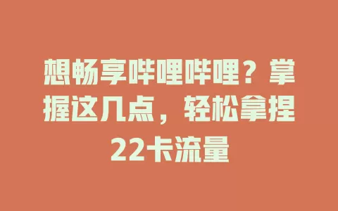 想畅享哔哩哔哩？掌握这几点，轻松拿捏22卡流量