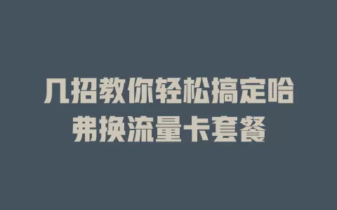 几招教你轻松搞定哈弗换流量卡套餐