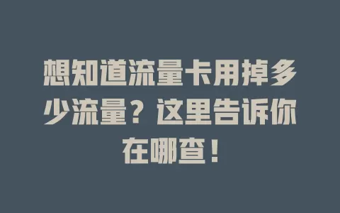 想知道流量卡用掉多少流量？这里告诉你在哪查！