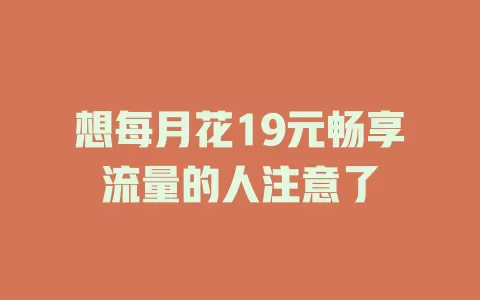 想每月花19元畅享流量的人注意了
