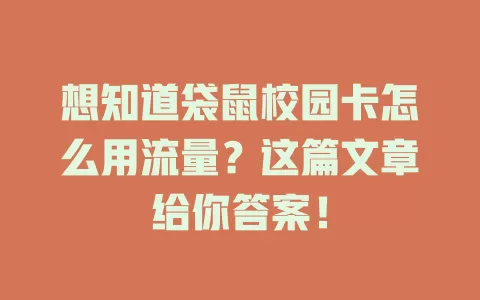 想知道袋鼠校园卡怎么用流量？这篇文章给你答案！