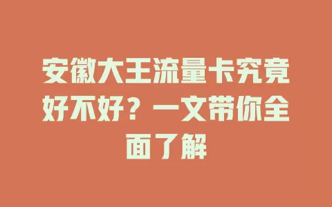 安徽大王流量卡究竟好不好？一文带你全面了解