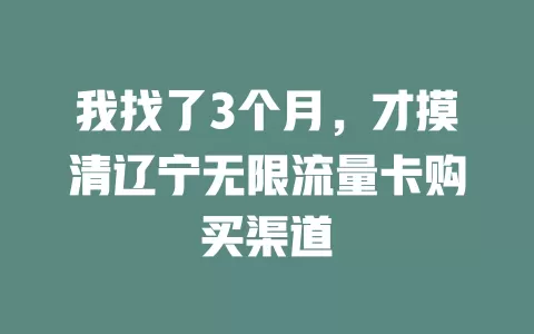 我找了3个月，才摸清辽宁无限流量卡购买渠道