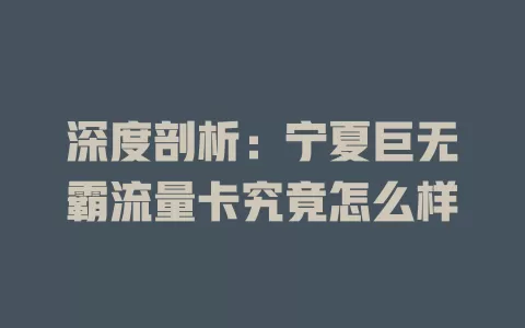 深度剖析：宁夏巨无霸流量卡究竟怎么样
