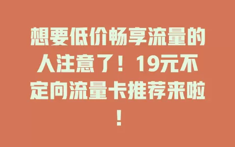 想要低价畅享流量的人注意了！19元不定向流量卡推荐来啦！