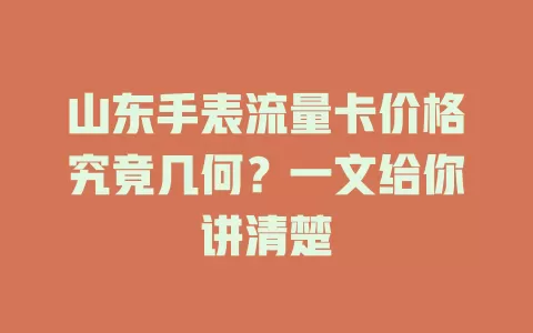 山东手表流量卡价格究竟几何？一文给你讲清楚