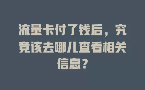流量卡付了钱后，究竟该去哪儿查看相关信息？