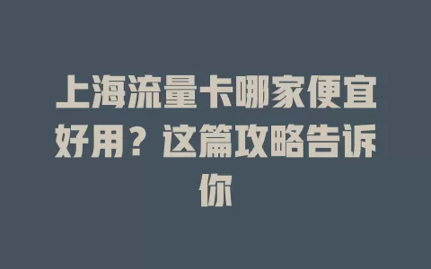 上海流量卡哪家便宜好用？这篇攻略告诉你