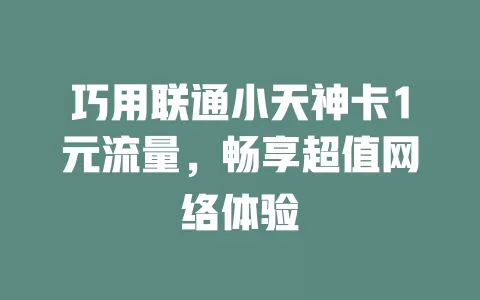 巧用联通小天神卡1元流量，畅享超值网络体验