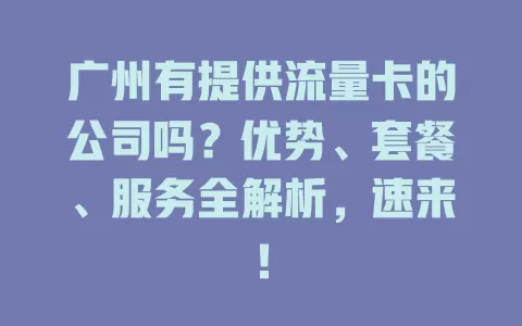 广州有提供流量卡的公司吗？优势、套餐、服务全解析，速来！
