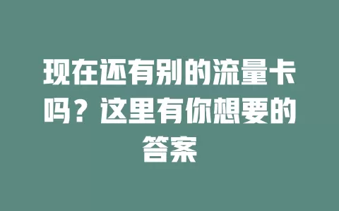 现在还有别的流量卡吗？这里有你想要的答案