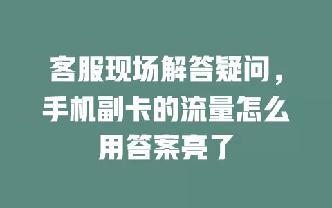 客服现场解答疑问，手机副卡的流量怎么用答案亮了