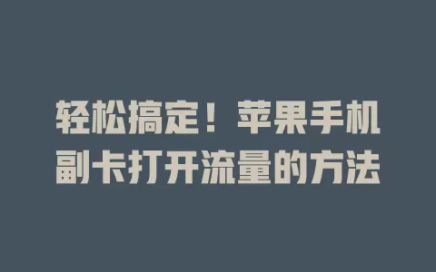 轻松搞定！苹果手机副卡打开流量的方法