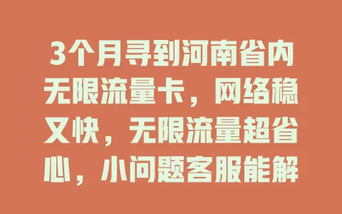 3个月寻到河南省内无限流量卡，网络稳又快，无限流量超省心，小问题客服能解决