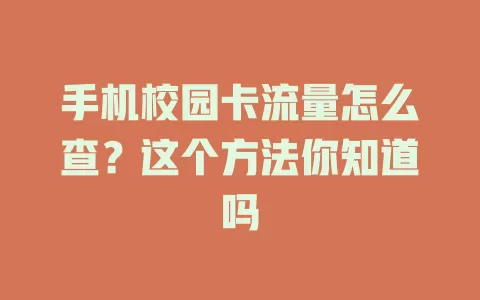 手机校园卡流量怎么查？这个方法你知道吗