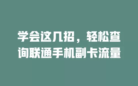 学会这几招，轻松查询联通手机副卡流量