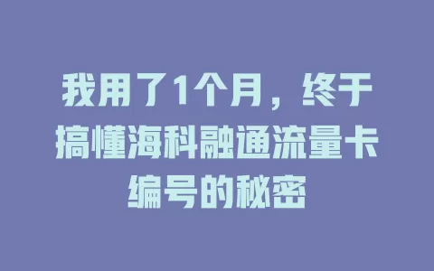 我用了1个月，终于搞懂海科融通流量卡编号的秘密